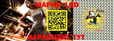 гидра Новодвинск