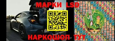 гидра Новодвинск