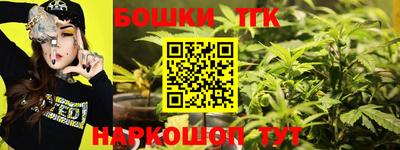 гидра Новодвинск
