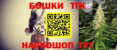 гидра Новодвинск