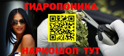 гидра Новодвинск