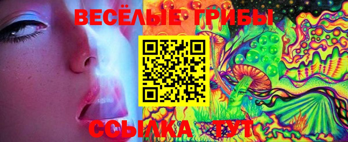 Псилоцибиновые грибы Psilocybe Урюпинск